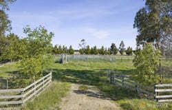 Lower Plains Road, Lethbridge, Vic 3332