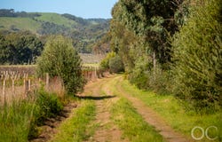 Lot 22 Bagshaws Road, McLaren Flat, SA 5171