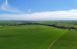 'Riverleigh' 110 Pedler Road, Yacka, SA 5470