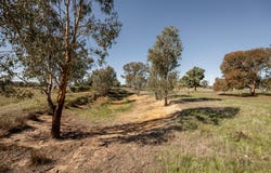 1 Margaret Street, Gerogery, NSW 2642