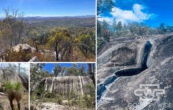 1478 Silent Grove Road, Torrington, NSW 2371