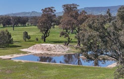 613 Old Euroa Road, Balmattum, Vic 3666