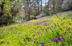 46 Urch Road, Roleystone, WA 6111