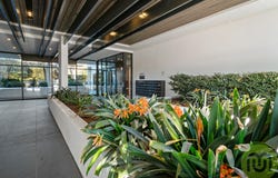 8/26 Antill Street, Dickson, ACT 2602