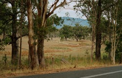 Lot 221, 65B Durham Road East Gresford, Gresford, NSW 2311