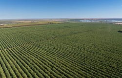 Euston, NSW 2737