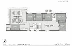 60 Tea Trees Avenue, Springfield Lakes, Qld 4300
