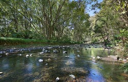 47 Bains Road, Currumbin Valley, Qld 4223