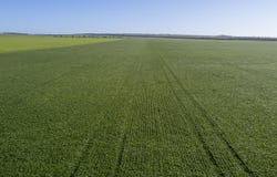'Rudds' Allotment 81 Ardrossan Road, Maitland, SA 5573
