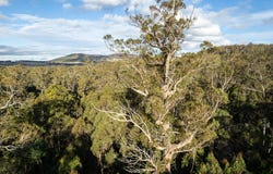 1167 Pelham Road, Hamilton, Tas 7140