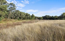 8 Currabubula Stock Route Road, Currabubula, NSW 2342