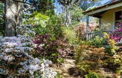 5-7 Valley Road, Wentworth Falls, NSW 2782