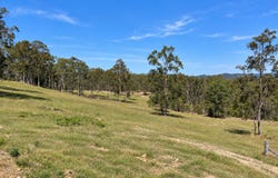 Killawarra, NSW 2429