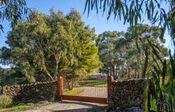 49 Butlers Lane, Glenlyon, Vic 3461