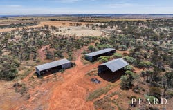 579 Ballidu-Bindi Bindi Road, West Ballidu, WA 6606