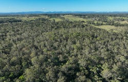 1050 Ellangowan Road, Yorklea, NSW 2470