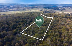 215 Golden Age Road, Grosses Plain, NSW 2627