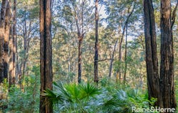 Lot 114, Woodburn Road, Morton, NSW 2538