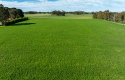 74 Curralea Lane, Forest Reefs, NSW 2798
