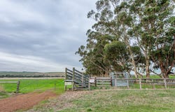 Lot 8 Nolans Road, Henty, Vic 3312