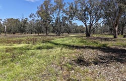 1359 Saddleback Road, Forbes, NSW 2871