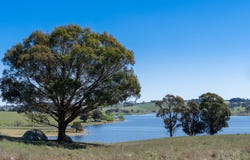 165 Harveys Road, Oberon, NSW 2787