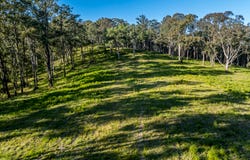 113-124 Boormans Rd, Tyalgum, NSW 2484
