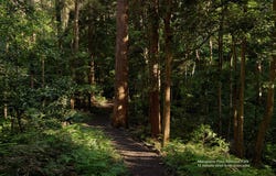 Lot 209 Angel View, Calderwood, NSW 2527