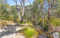 10 Salt Ash Avenue, Salt Ash, NSW 2318