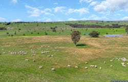 408 Tapscotts Road, Mount Pleasant, SA 5235