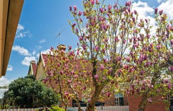 2/38 Reid Street, Rutherglen, Vic 3685