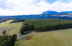 10 Winters Road, Wilmot, Tas 7310