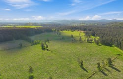 Lot 55 & 56 Harrington Road, Coopernook, NSW 2426
