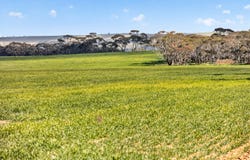 'Milde's' Keller Road, Point Pass, SA 5374