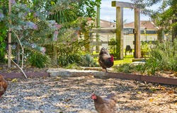 75 East Street, Macksville, NSW 2447