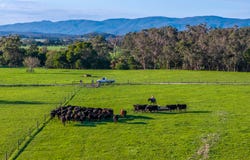 130 Wimpole Road, Bunyip North, Vic 3815