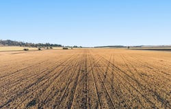 Lot 7 Cronin Road, Mount Tyson, Qld 4356