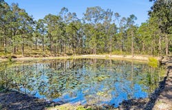 476 Paddys Flat Road, Tabulam, NSW 2469