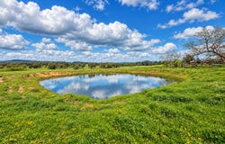 62 Table Top Road, Thurgoona, NSW 2640