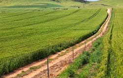 'Sharpes Well' Ireland Road, Mundoora, SA 5555