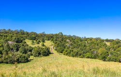 607 Delicia Road, Mapleton, Qld 4560