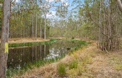 Spiden Road, Thinoomba, Qld 4650