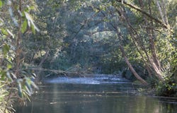 Bobin, NSW 2429