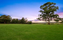 6 Anembo Road, Duffys Forest, NSW 2084
