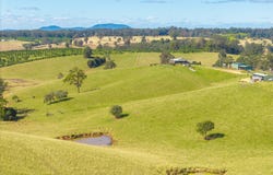 659 South Bank Road, Tamban, NSW 2441