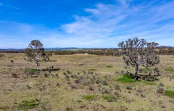 80/278 Campbells Lane Via Middle Arm, Goulburn, NSW 2580