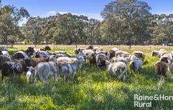 Lot 201 Wickhams Hill Road, Kuitpo, SA 5201