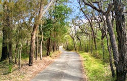 228-278 Chapman Parade, Faulconbridge, NSW 2776