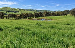 1511 Lake Road, Bethanga, Vic 3691