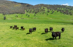 16, Ranch Road, Tintaldra, Vic 3708